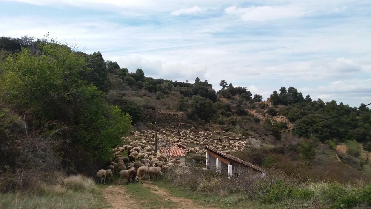 Villa Casa Rita à Morella Extérieur photo